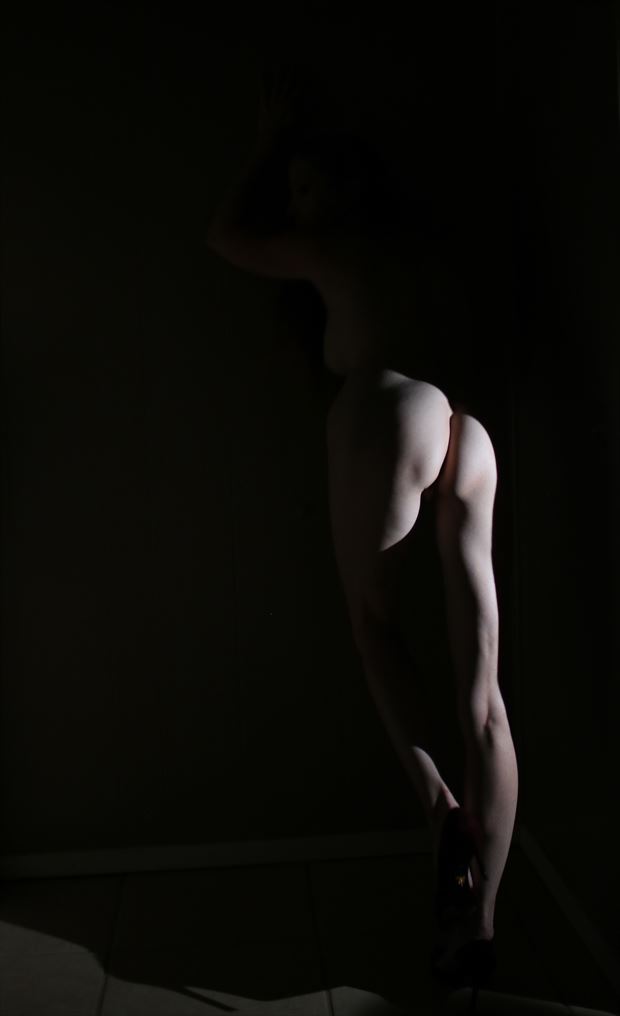 shadow play artistic nude photo by photographer comet photos