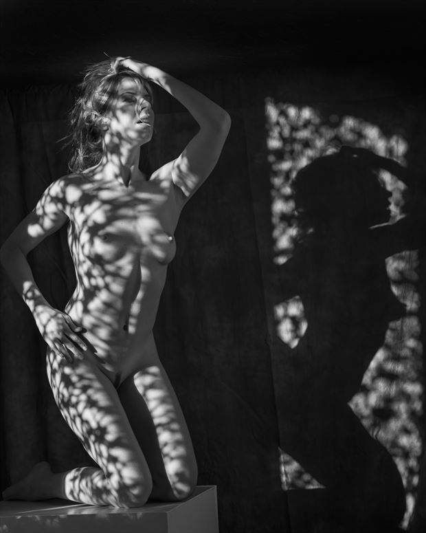 shadow play artistic nude photo by photographer niall