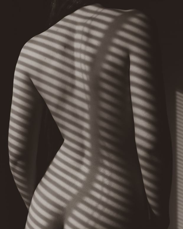 shadows and lines artistic nude photo by photographer irreverent imagery