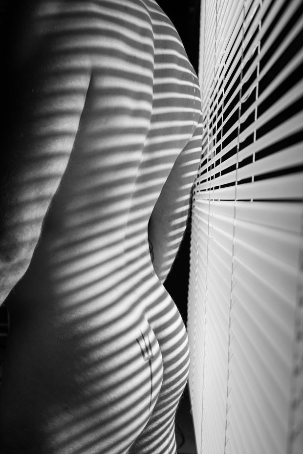 shadows and stripes artistic nude artwork by photographer sharpe contrast photography