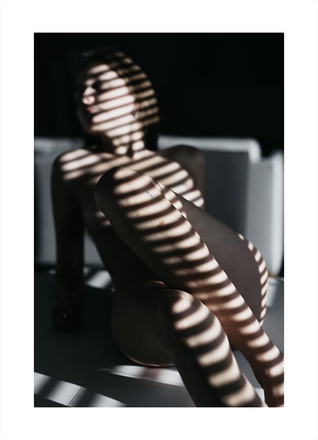 shadows artistic nude photo by photographer maher abdel aziz