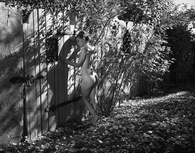 shadows at the gate artistic nude photo by photographer intimatemuse