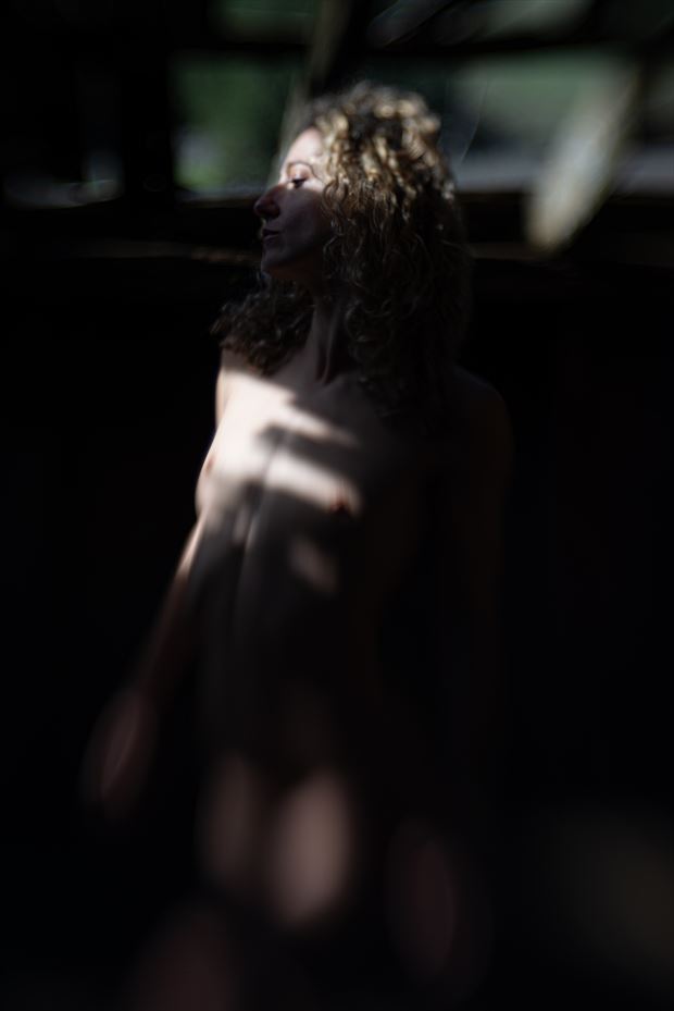 shadows in the barn artistic nude photo by photographer exhibitphotopdx