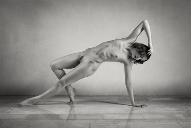 shapes of anita artistic nude photo by photographer rascallyfox