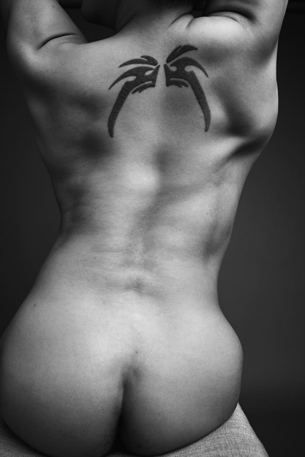 shawny s back artistic nude photo by photographer david clifton strawn