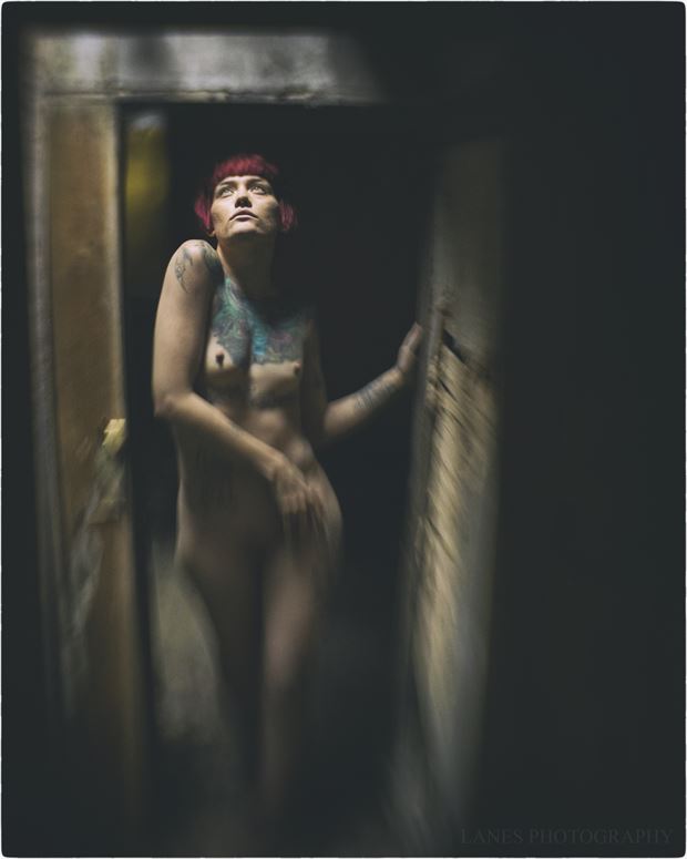 she emerged from the shadows artistic nude photo by photographer lanes photography