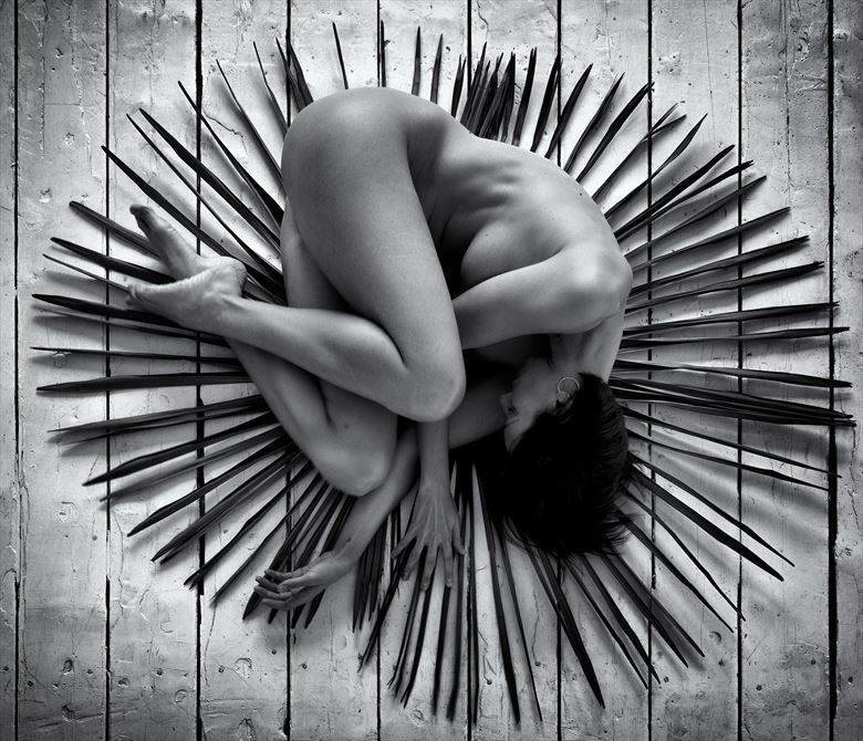 she holds your thoughts in her hands artistic nude photo by photographer benernst