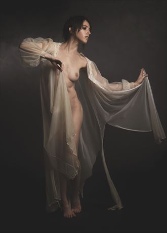 sheer elegance artistic nude photo by photographer kor