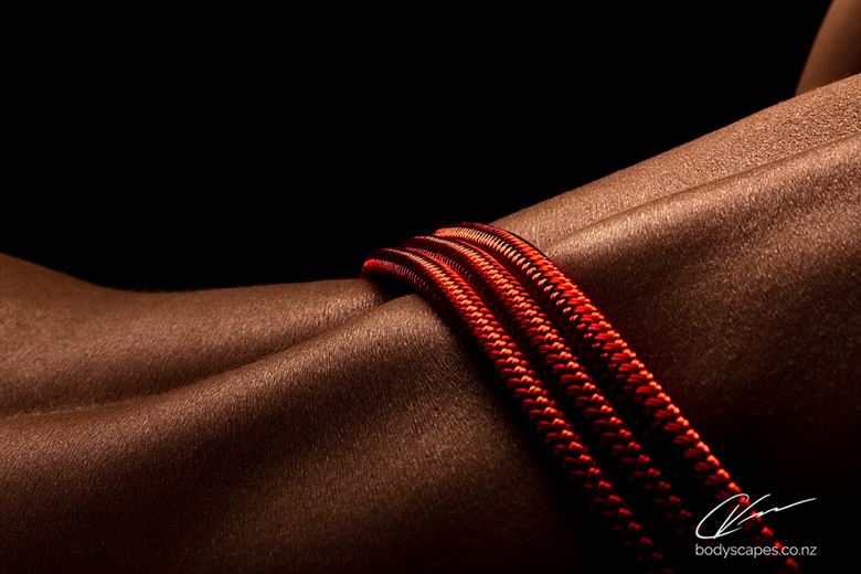 shibari study 23 artistic nude photo by photographer cory varcoe bodyscapes