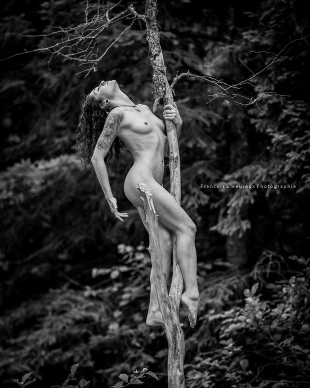shooting duo nature artistic nude artwork by model anthrisque