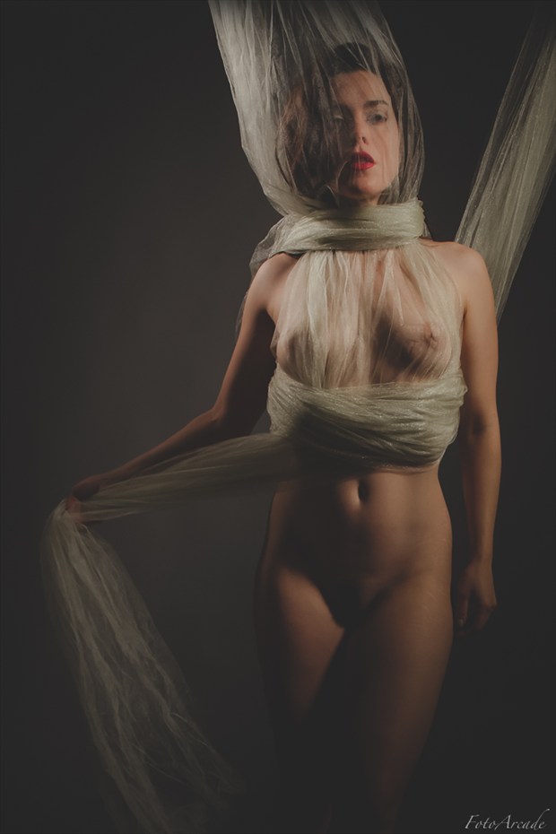 shrouded Artistic Nude Photo by Photographer FotoArcade