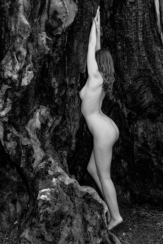 sienna in charred redwood artistic nude photo by photographer philip turner