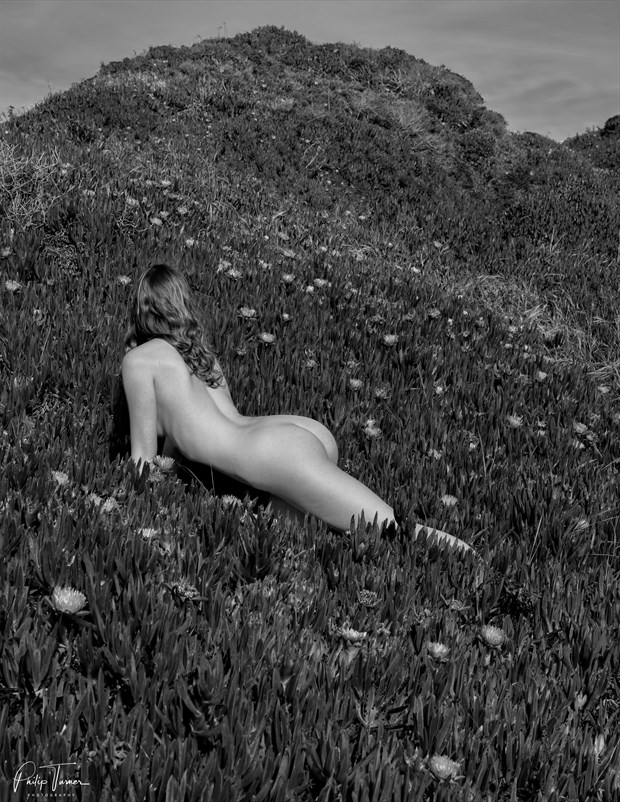 sienna s world artistic nude photo by photographer northlight studios