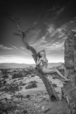 sienna upper mojave desert artistic nude photo by photographer philip turner