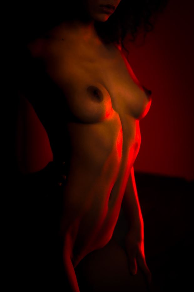 silhouette close up photo by photographer juan rhodes