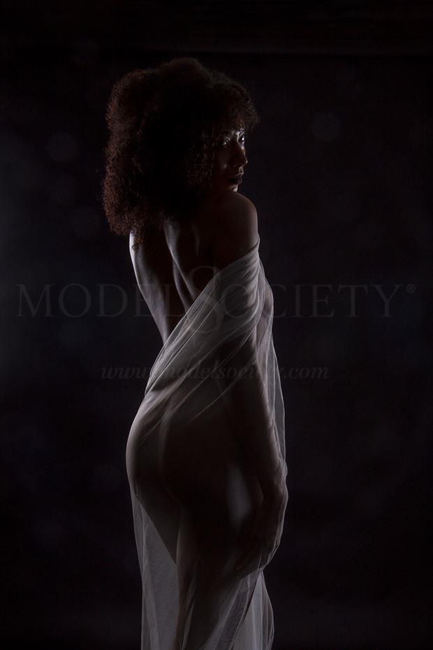 silhouette implied nude photo by photographer tonyl66