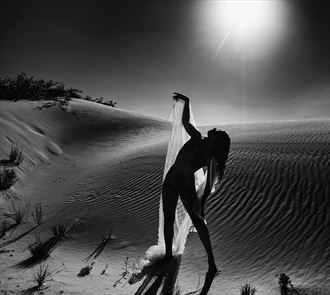 silhouette in sand nature photo by photographer alan tower