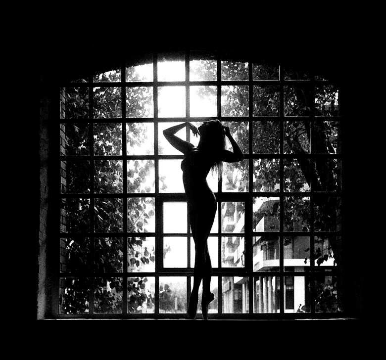 silhouette in the window artistic nude photo by model fanni m%C3%BCller