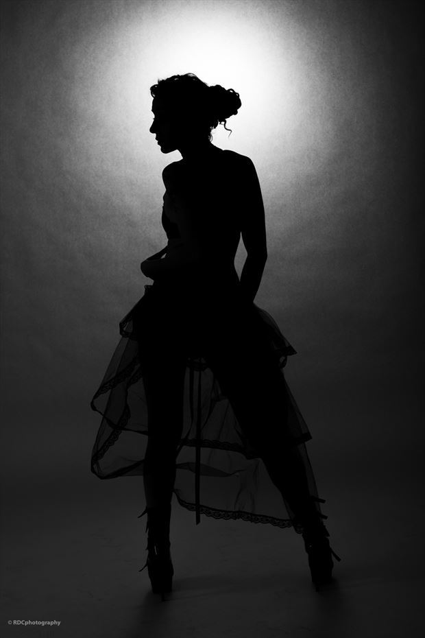 silhouette photo by model michelle s