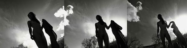 silhouette triptych artistic nude artwork by artist essbeedee