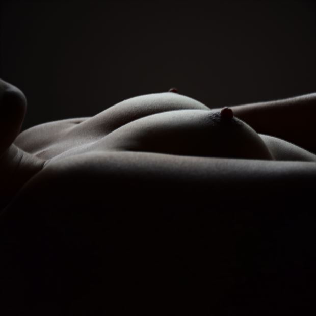 silk artistic nude photo by photographer tj