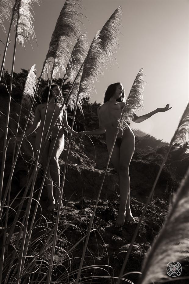 silky plumes and razor leaves artistic nude photo by photographer poorx photography