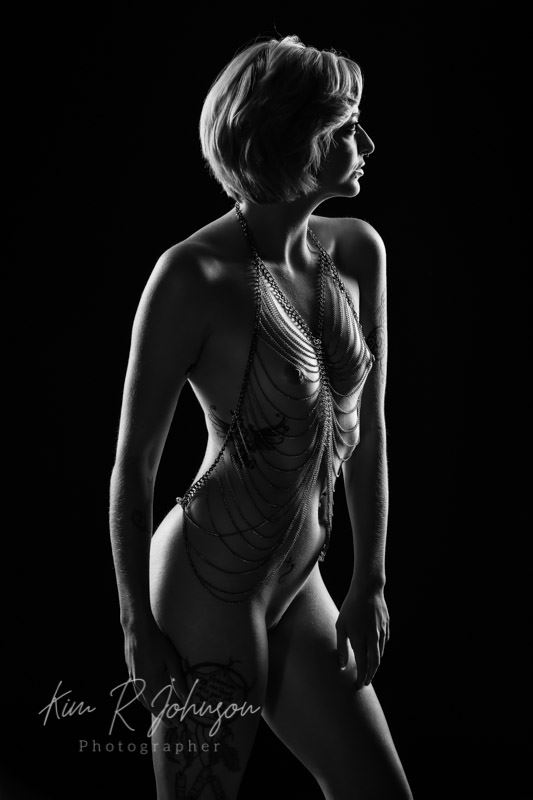sillouhette artistic nude artwork by model elizabeth lee
