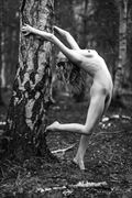 silver birch woodland nude artistic nude photo by photographer amazilia photography