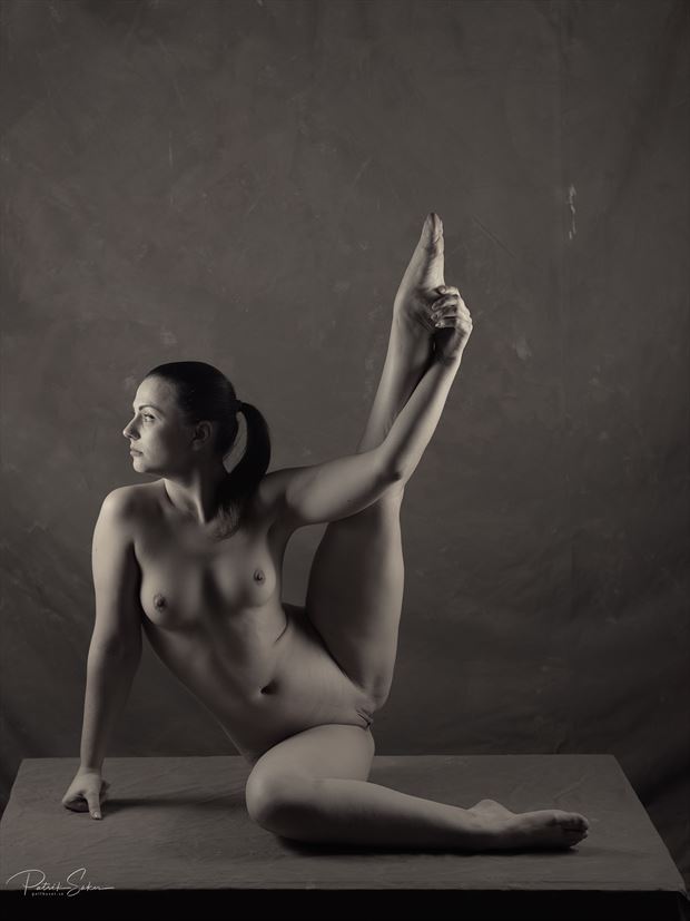 simulacrum artistic nude photo by photographer patriks