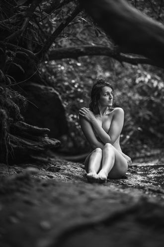 siren of the forest artistic nude photo by photographer rhett