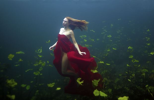 sirens of the cenotes series nature photo by photographer linda hollinger