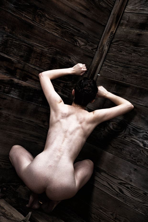skin and everything underneath it artistic nude photo by model ahna green