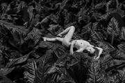 skunk cabbage nude artistic nude photo by photographer lightworkx
