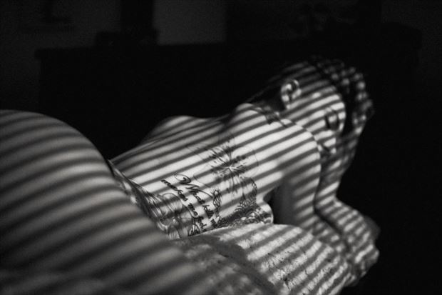 slatted glamour photo by photographer luisaguirre