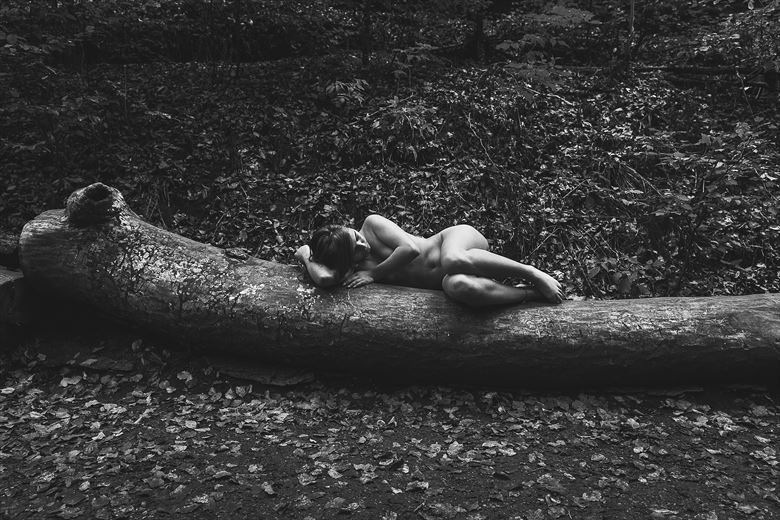 sleeping a the tree artistic nude photo by photographer sk photo
