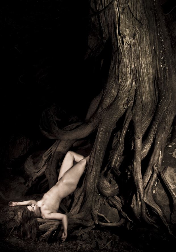 sleepy hollow 2 artistic nude photo by photographer shadowscape studio
