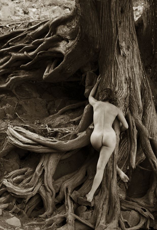 sleepy hollow artistic nude photo by photographer shadowscape studio