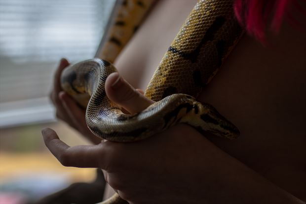snake artistic nude photo by photographer chrisbossphoto