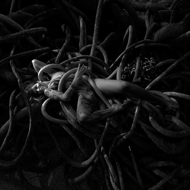 snake pit Erotic Photo by Artist jean jacques andre