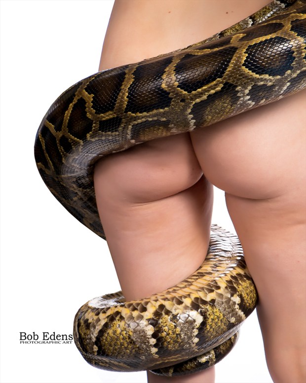 snake shoot  Erotic Photo by Photographer bobedens