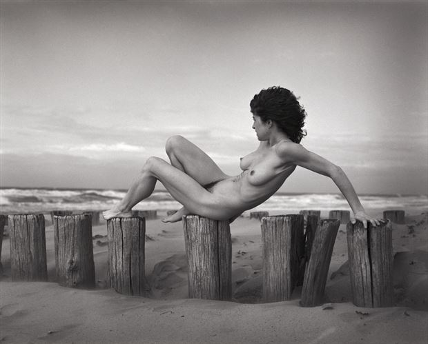 sofia domburg the netherlands artistic nude photo by photographer live life