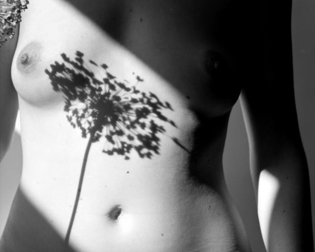 sofie 11 artistic nude photo by photographer jan karel kok