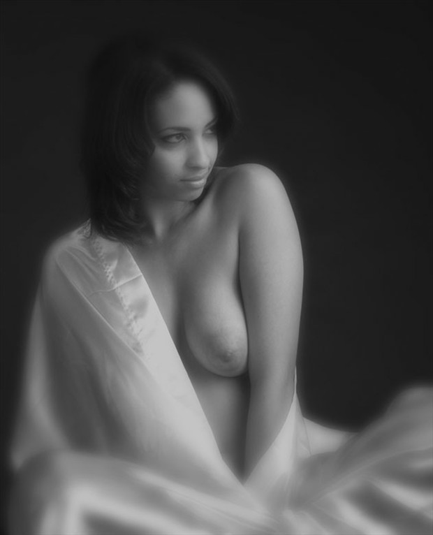 soft Artistic Nude Photo by Photographer Bob Simpson