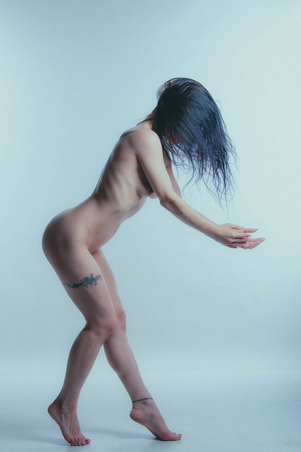soft body lines artistic nude photo by model blackswann_portfolio