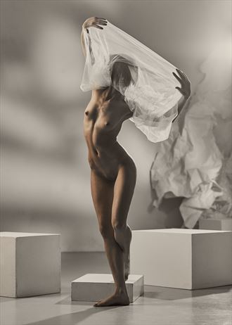 soft contours artistic nude photo by photographer dml