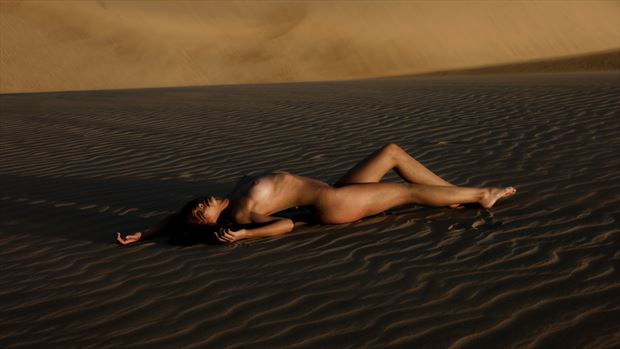 solitude artistic nude photo by model elena negrea