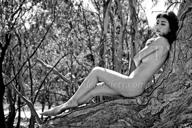 sonya reclining on tree artistic nude photo by photographer john matthews
