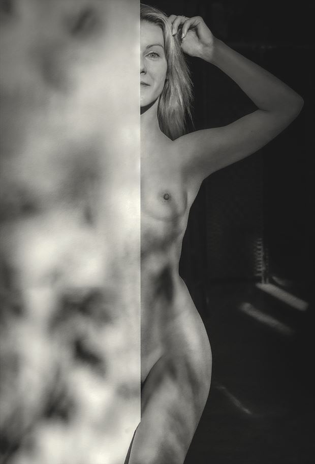 sorry i m only feeling fifty percent today artistic nude artwork by photographer dieter kaupp