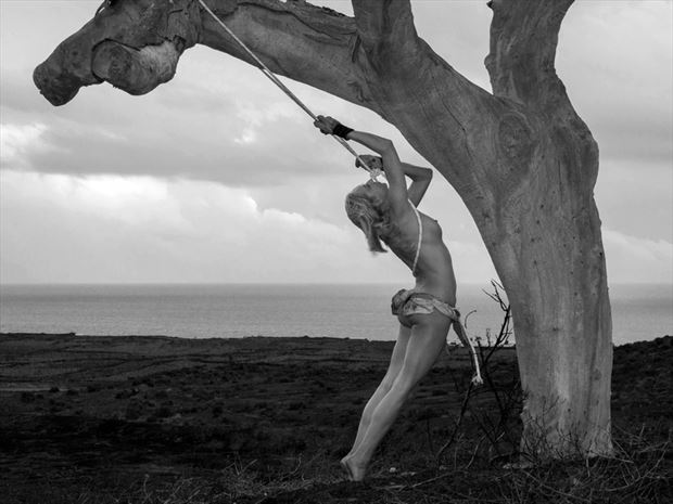 sous l arbre mort 2 artistic nude photo by photographer dick