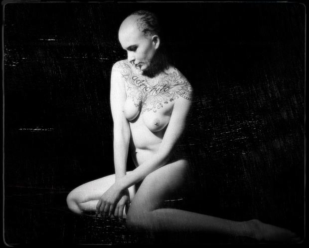 sp 231 artistic nude photo by photographer servophoto